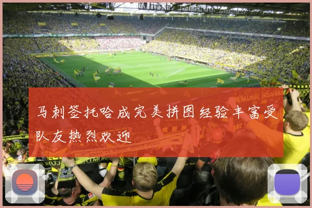 马刺签托哈成完美拼图经验丰富受队友热烈欢迎